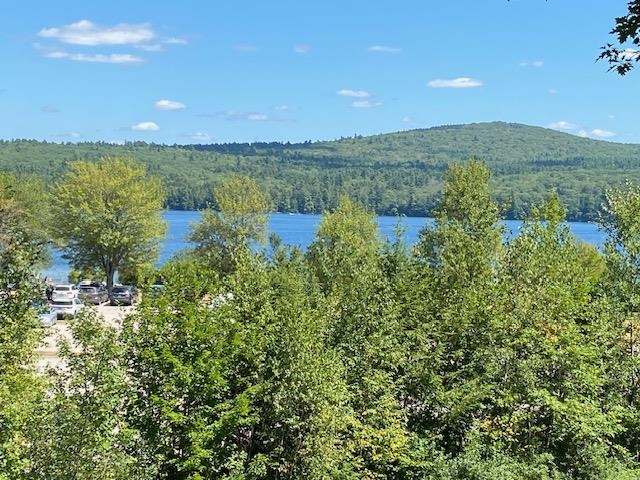 21 Hospitality Way Newbury, NH 03255 - Photo 1 of 35