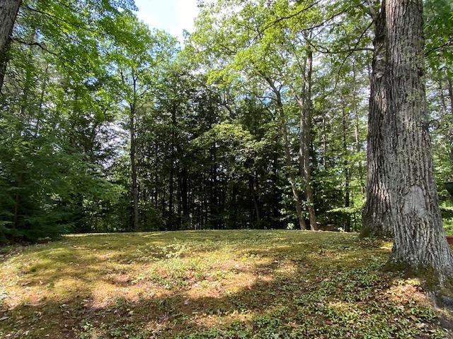 21 Hospitality Way Newbury, NH 03255 - Photo 31 of 35