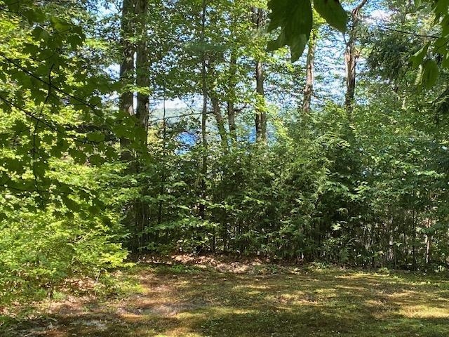21 Hospitality Way Newbury, NH 03255 - Photo 34 of 35