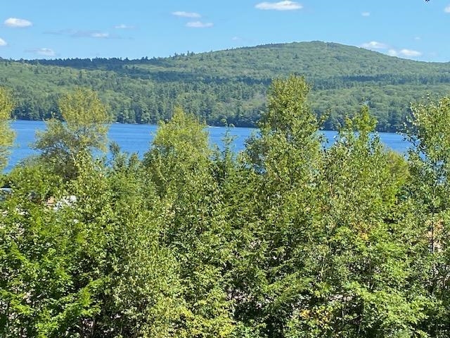 21 Hospitality Way Newbury, NH 03255 - Photo 6 of 35