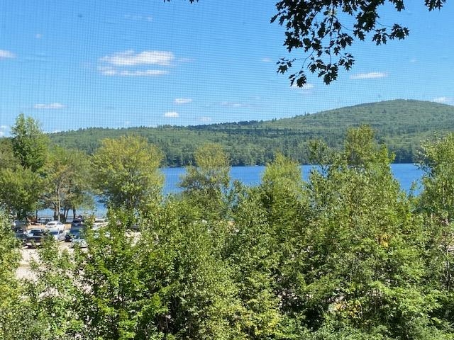 21 Hospitality Way Newbury, NH 03255 - Photo 9 of 35