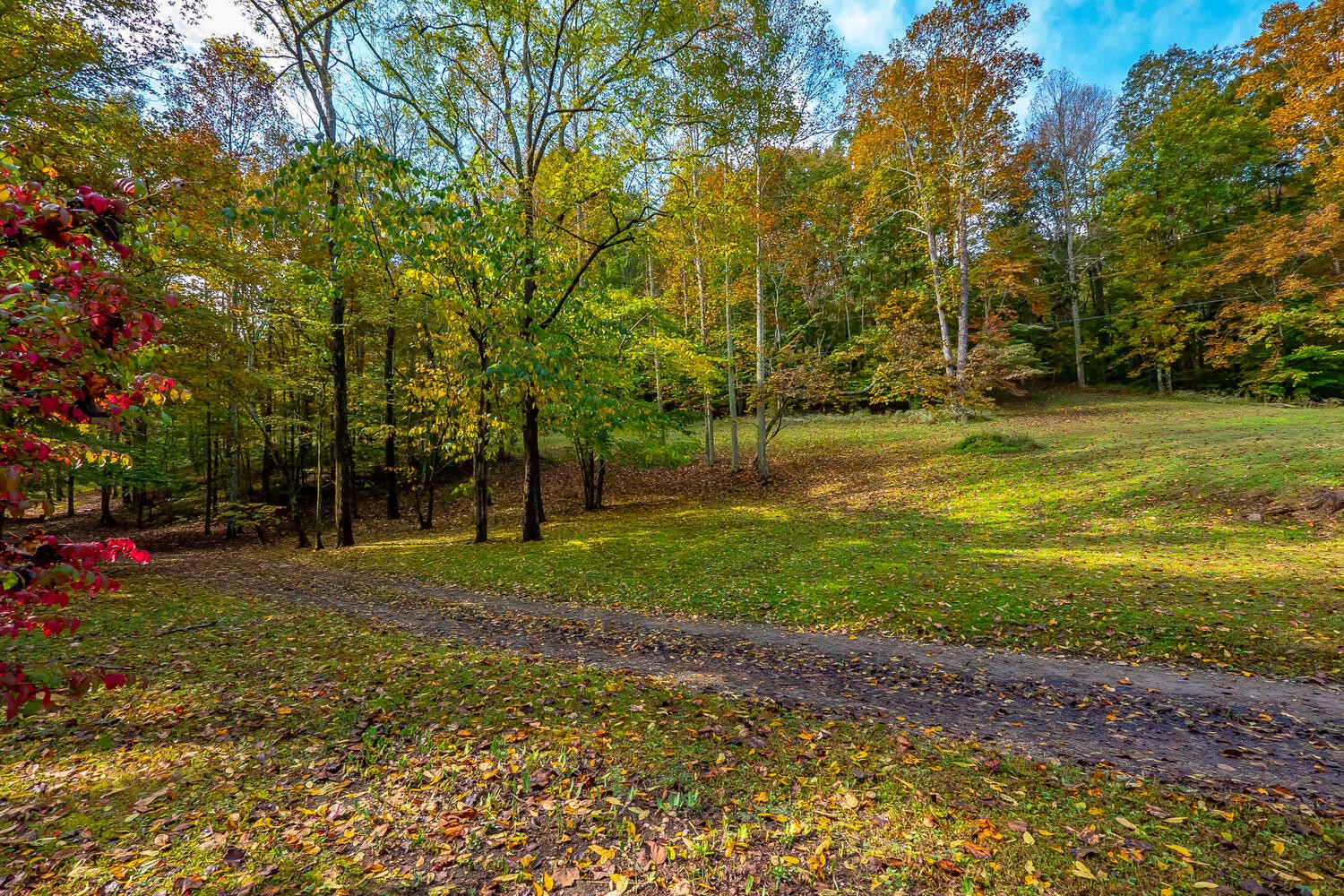 5598 Parker Branch Road Franklin, TN 37064 - Photo 38 of 49 Gallery Image 38