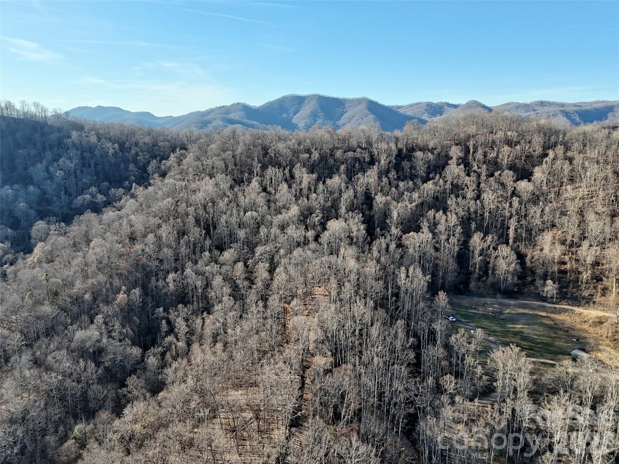 672 Porters Ridge Canton, NC 28716 - Photo 17 of 18