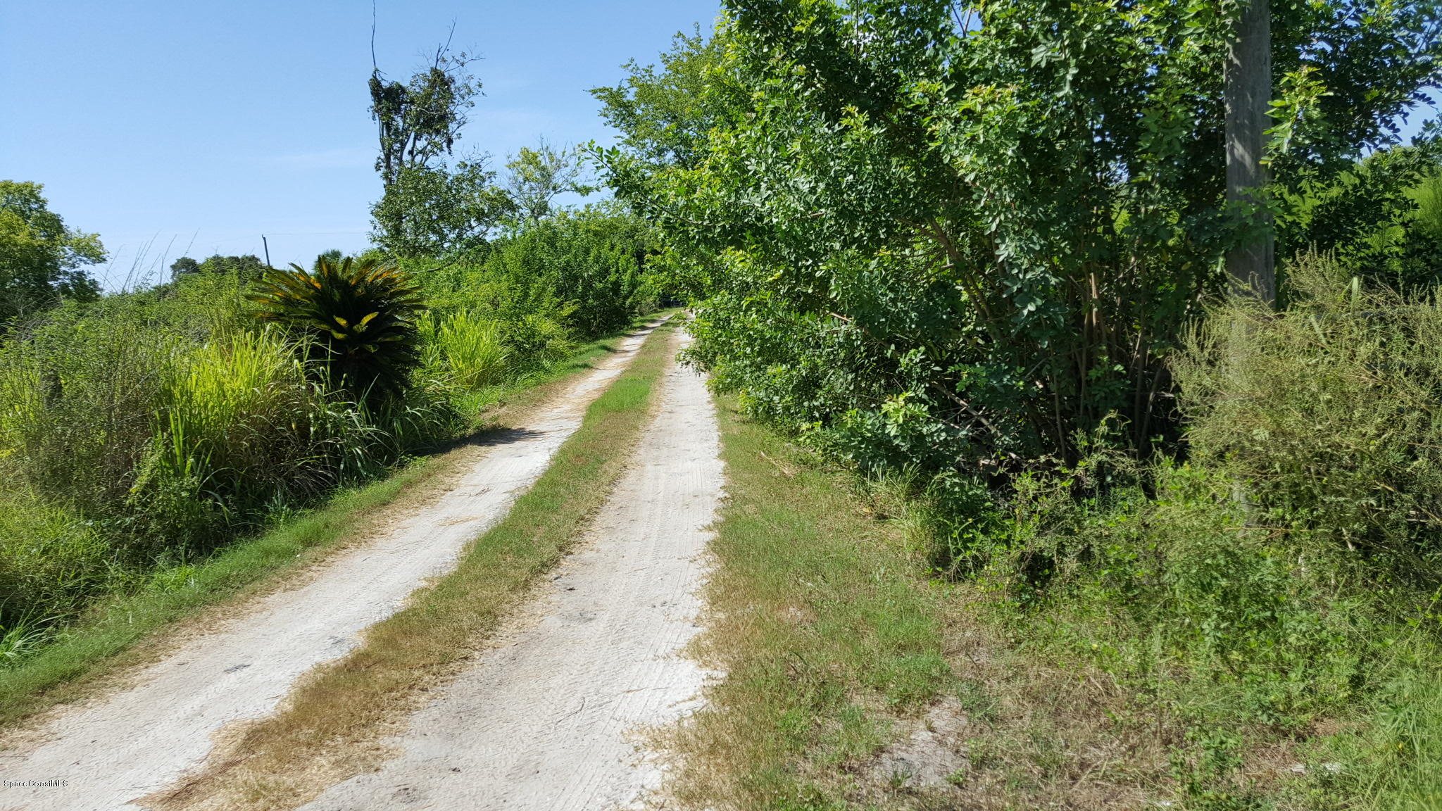 3410 Hammock Road Mims, FL 32754 - Photo 16 of 16 20160730_110312
