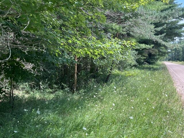 8858 East Manales Road Branch, MI 49402 - Photo 18 of 35 IMG_0645