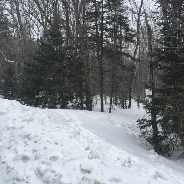 402 Lily Bay Road Greenville, ME 04441 - Photo 17 of 18 IMG_6259