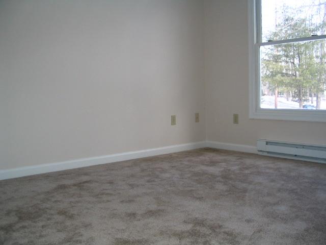 307 Linden Loop Pocono Summit, PA 18346 - Photo 5 of 9 an empty room with a window