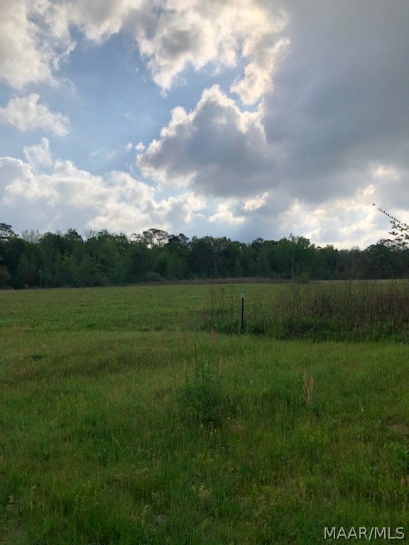 1142 Pera Road Samson, AL 36477 - Photo 5 of 17 Gallery Image 5