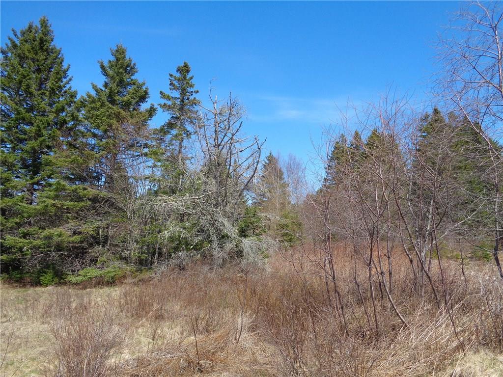 Lot 39 Kansas Road Milbridge, ME 04658 - Photo 3 of 4 Photo