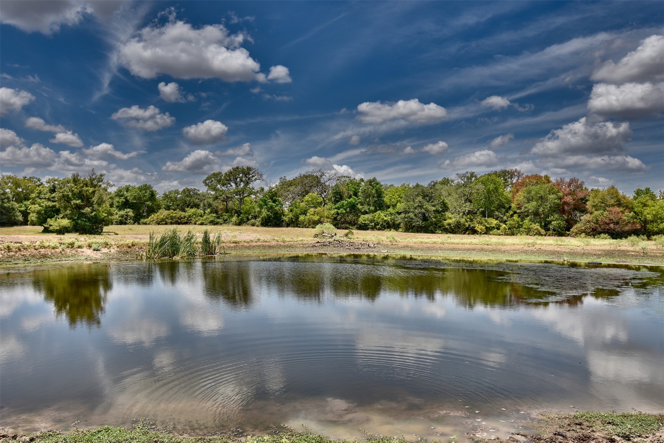 0 Mt Vernon Road Brenham, TX 77833 - Photo 4 of 12
