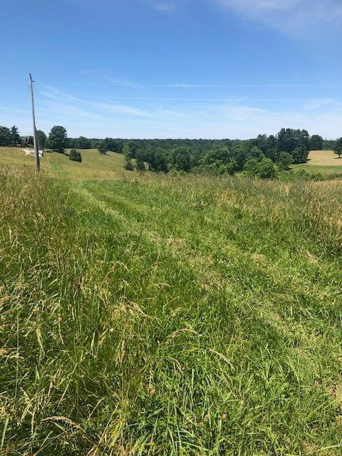 1915 Mt Zion Road Frankfort, KY 40601 - Photo 2 of 18 Photo 2