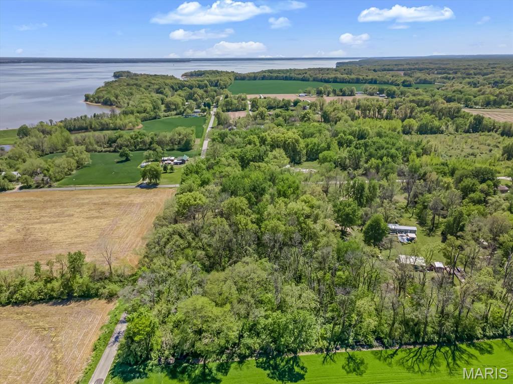21515 4th Street Keyesport, IL 62253 - Photo 5 of 23