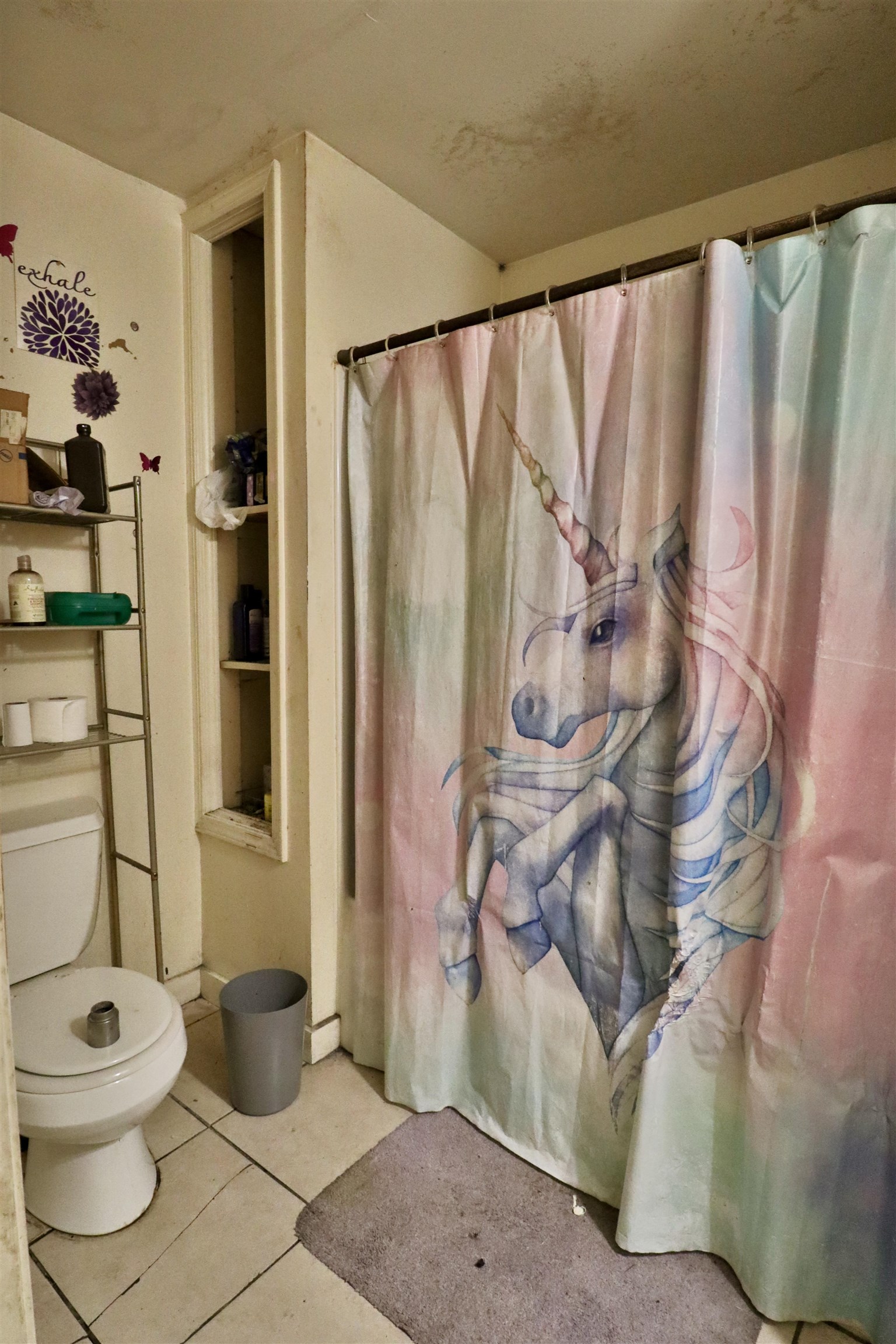 312 North Main Street Ripley, TN 38063 - Photo 9 of 17