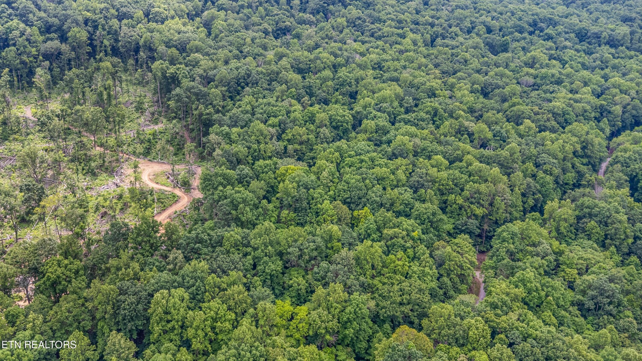56 Timber Ridge Pikeville, TN 37367 - Photo 18 of 50 Gallery Image 18