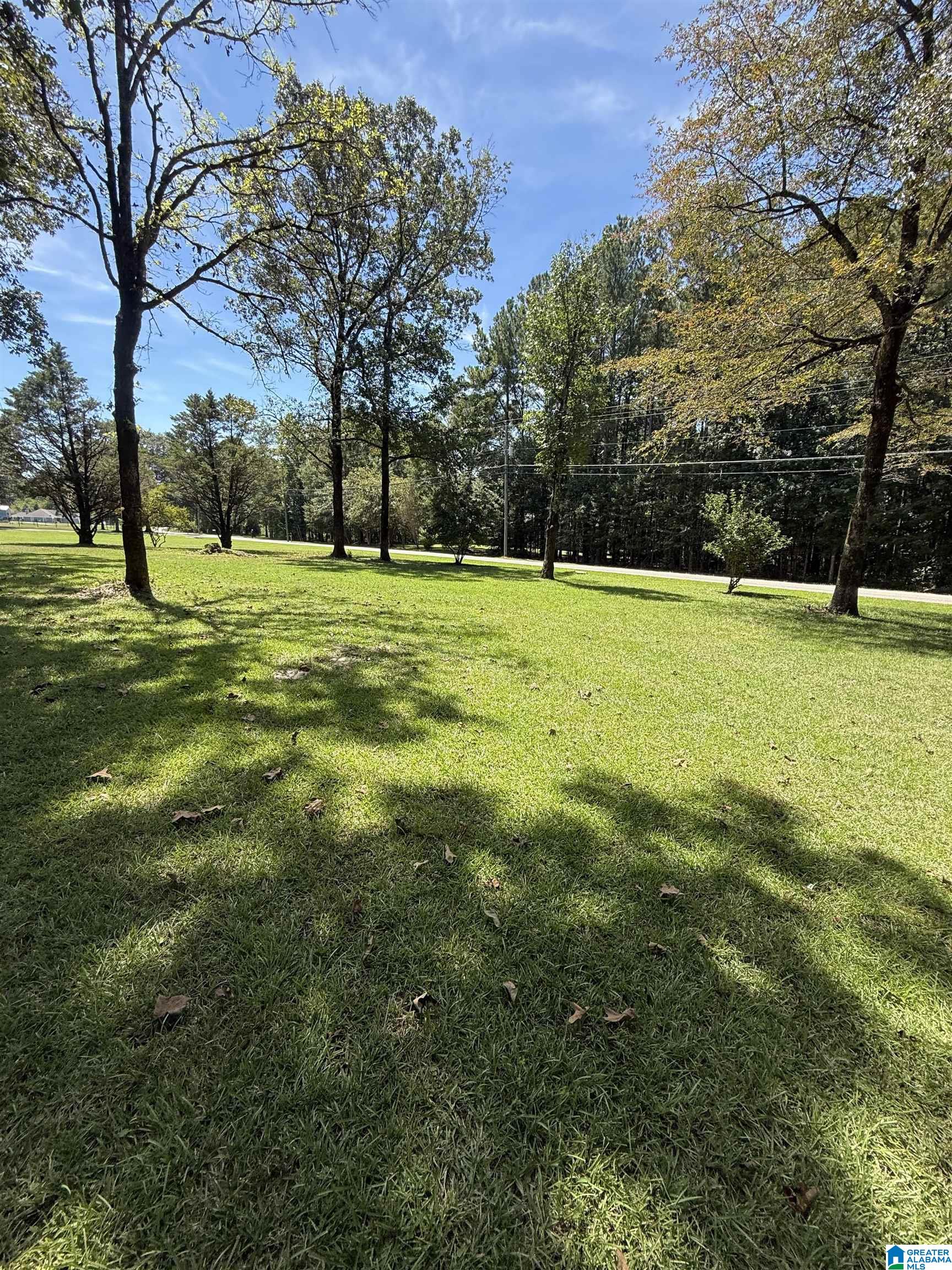 960 Camp Branch Road Alabaster, AL 35007 - Photo 51 of 78