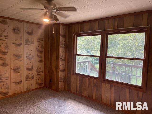 14555 Allen Road Herrin, IL 62948 - Photo 28 of 39
