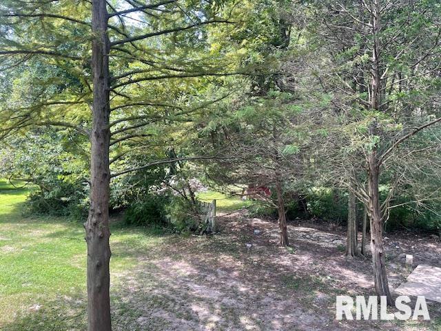 14555 Allen Road Herrin, IL 62948 - Photo 34 of 39