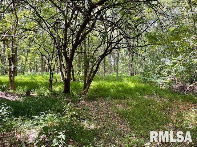 14555 Allen Road Herrin, IL 62948 - Photo 37 of 39