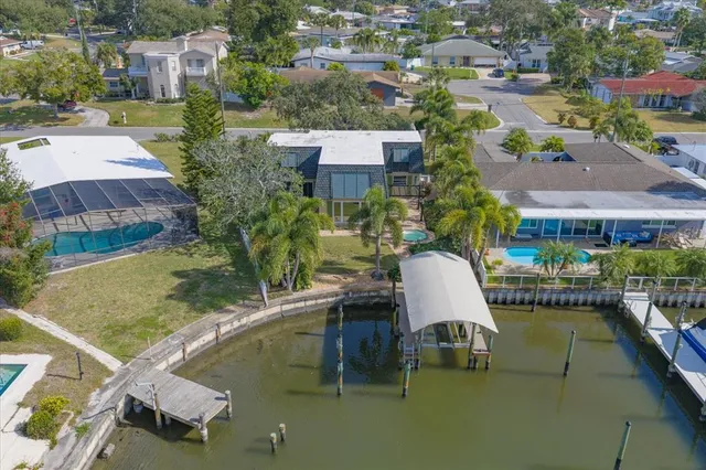 a house with palm tree in front of it