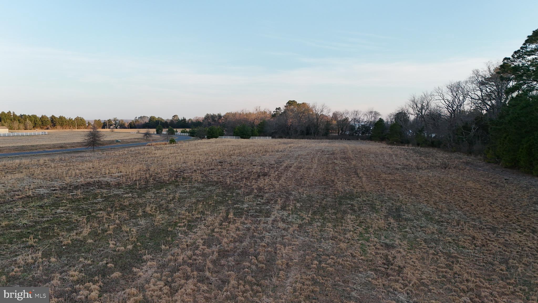 River View Road East New Market, MD 21631 - Photo 14 of 24 a view of an outdoor space and a yard