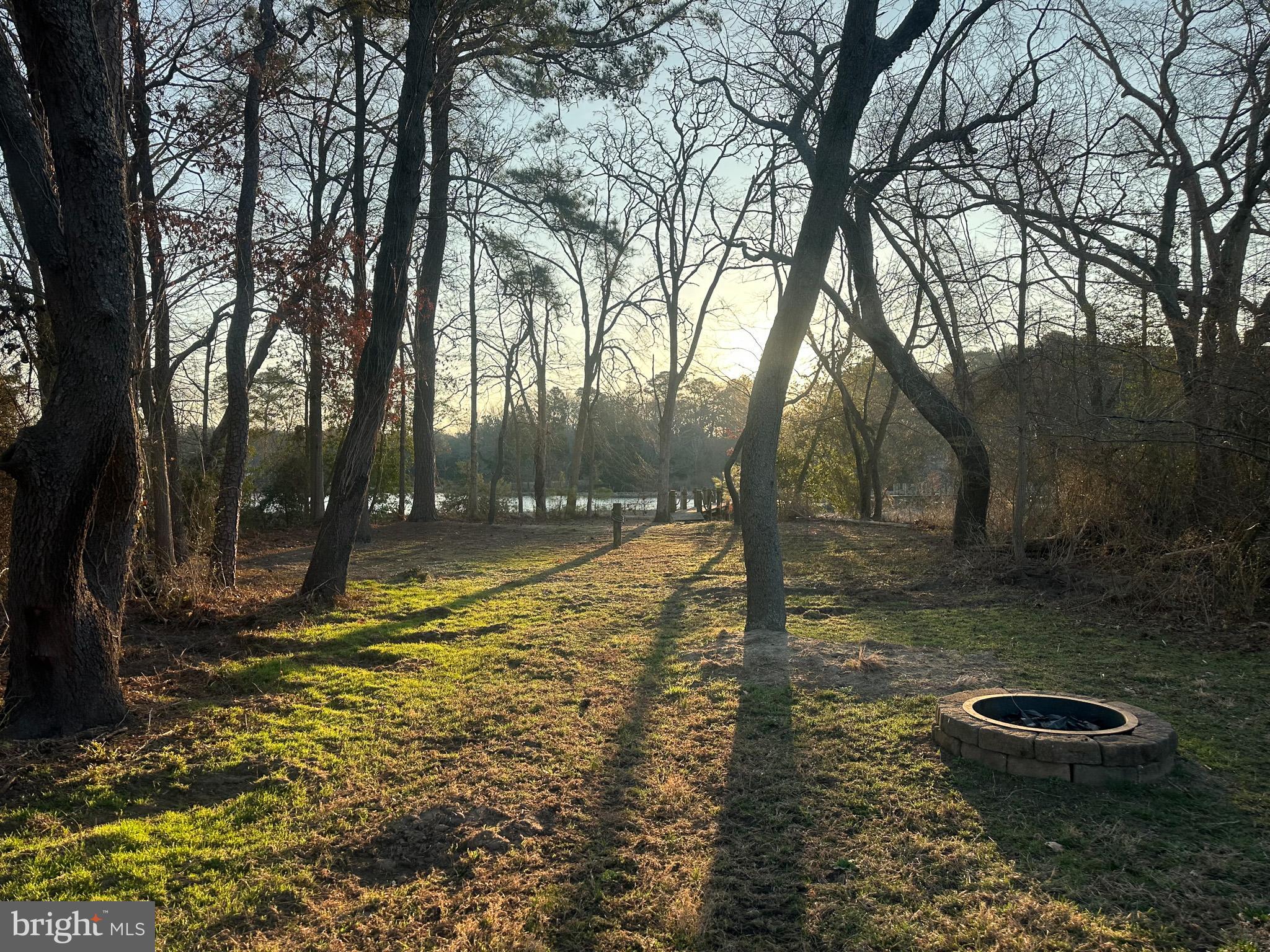 River View Road East New Market, MD 21631 - Photo 20 of 24 a view of a yard with trees