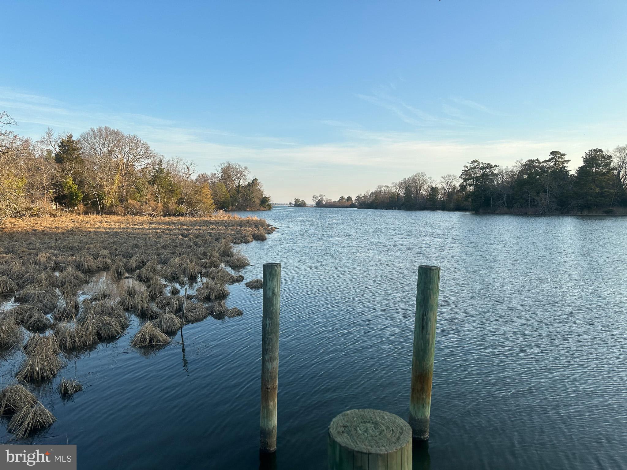River View Road East New Market, MD 21631 - Photo 23 of 24 a view of a lake