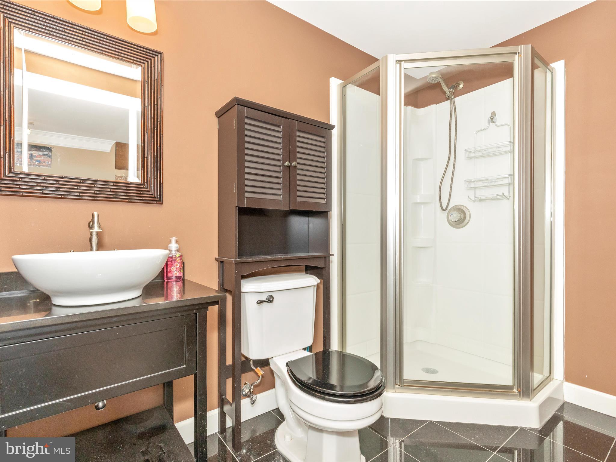4660 Old Swimming Pool Road Braddock Heights, MD 21714 - Photo 39 of 52 Lower Level Bathroom