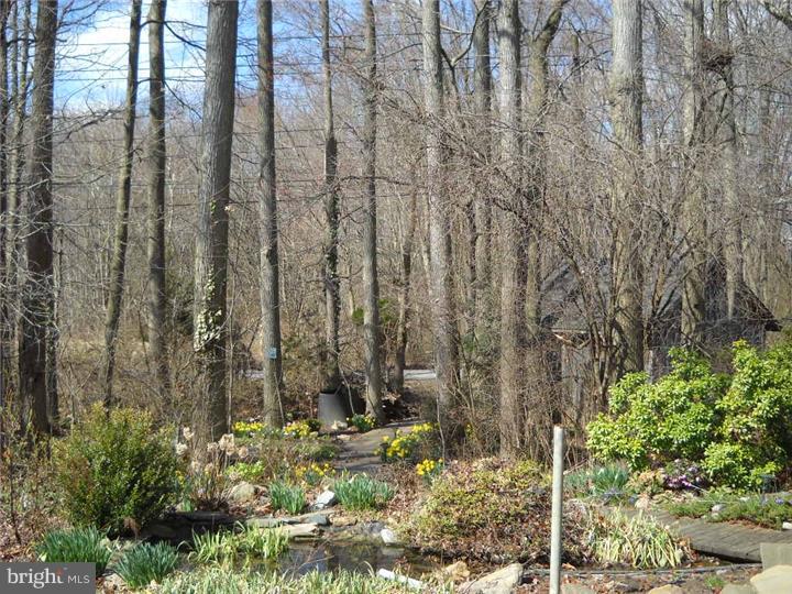 842 Lehigh Road Newark, DE 19711 - Photo 10 of 24 Garden