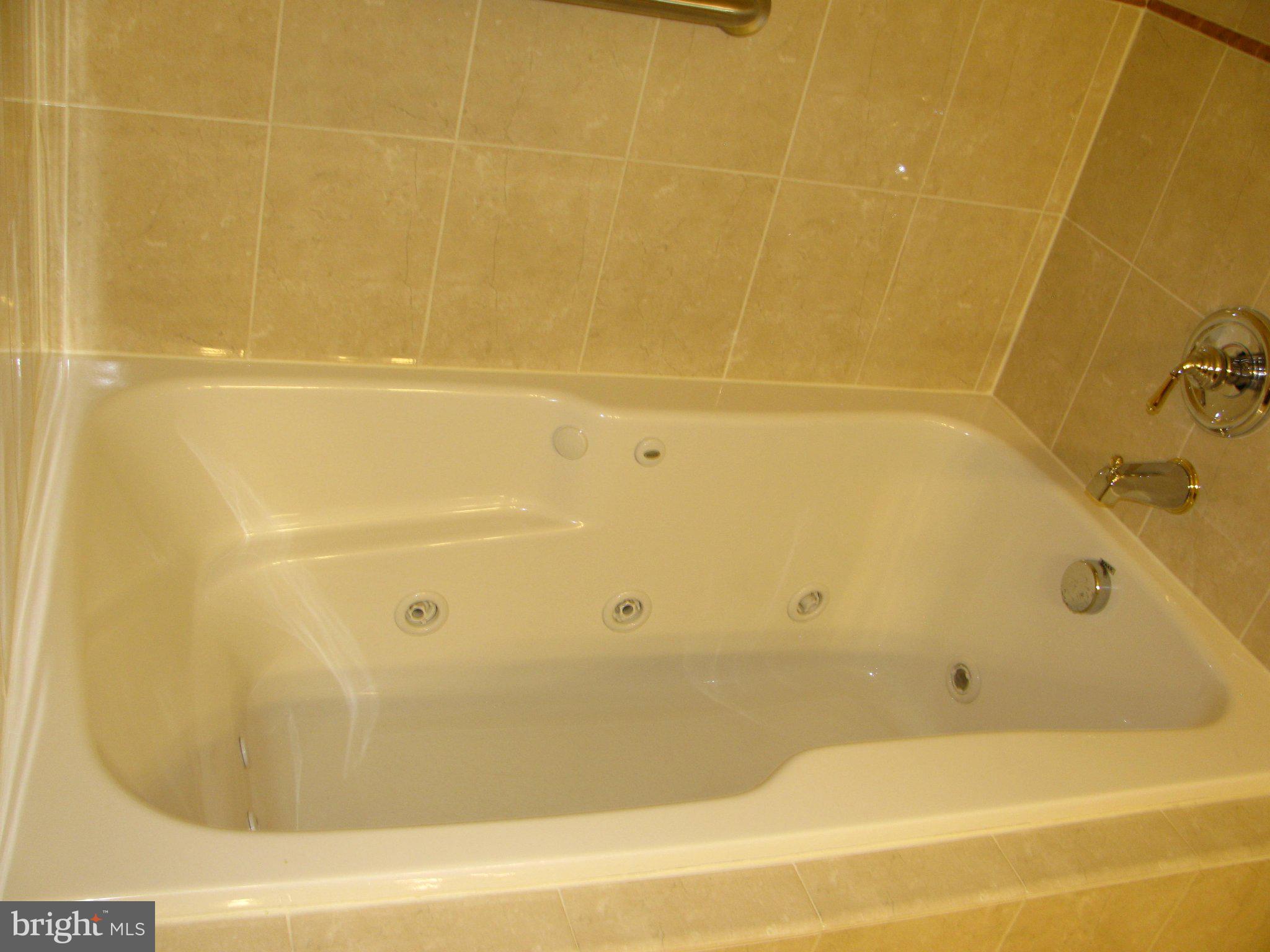 2001 Connor Court, Unit 704D Bowie, MD 20721 - Photo 31 of 33 Luxurious spa-like soaking tub.