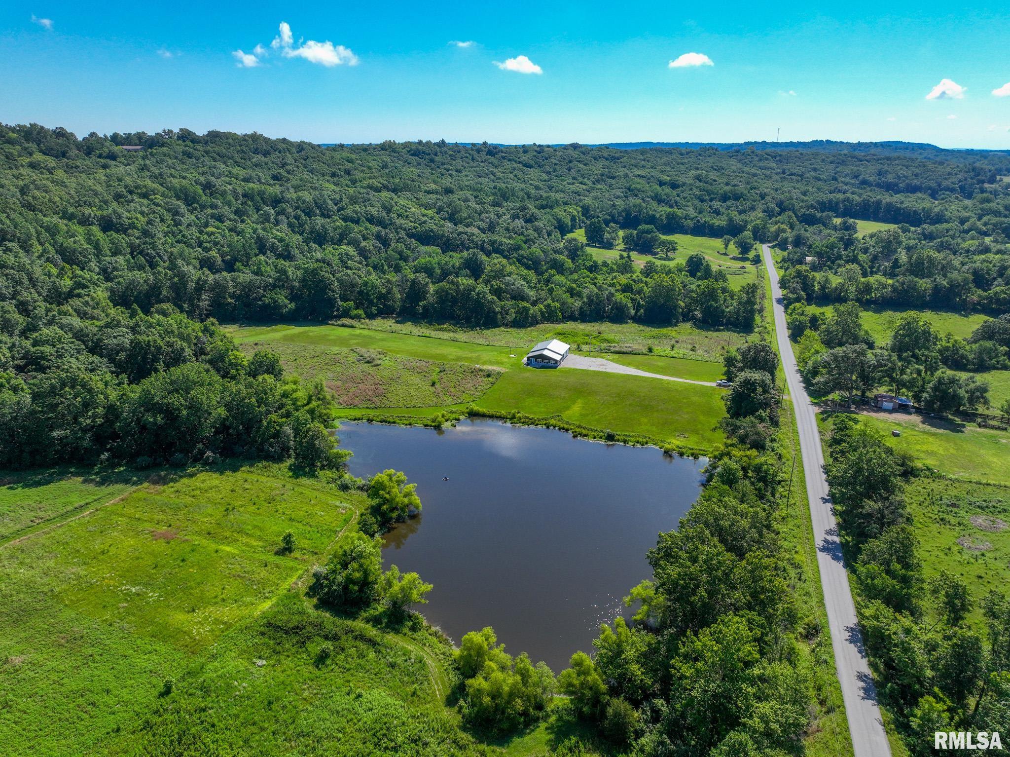 1770 Aldridge Road Cobden, IL 62920 - Photo 41 of 71