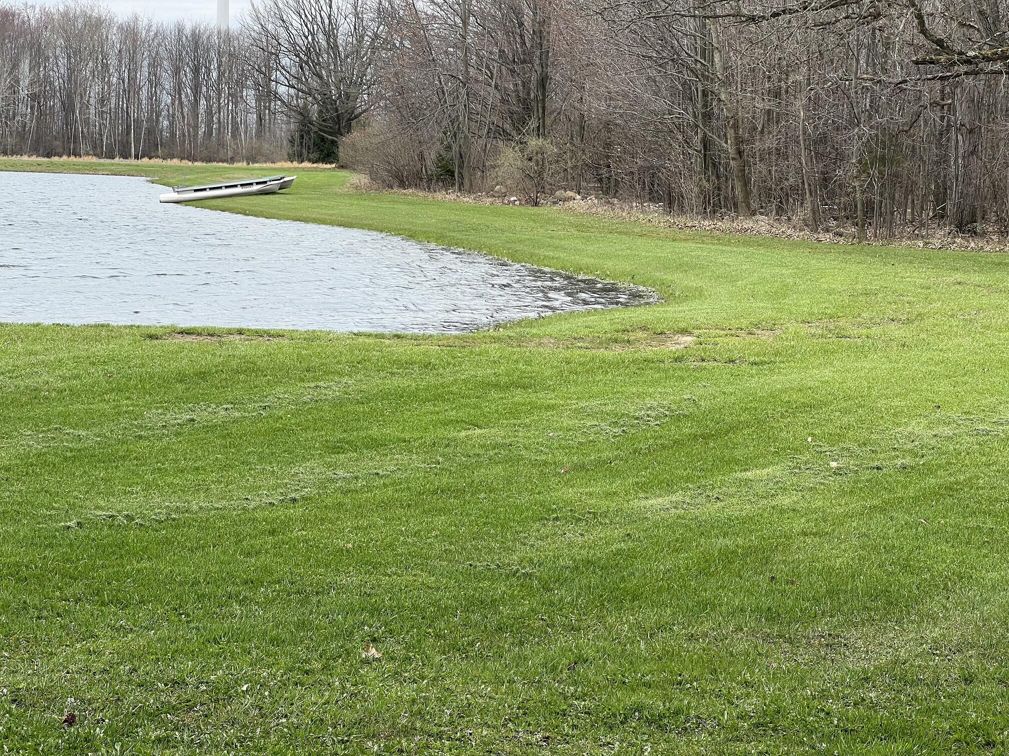 11652 East Van Buren Road Merrill, MI 48637 - Photo 11 of 40 nancy 5