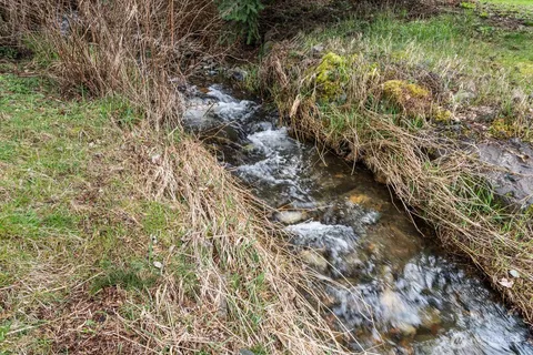 $650,000 | 26023 Southeast 166th Street, Issaquah, WA 98027