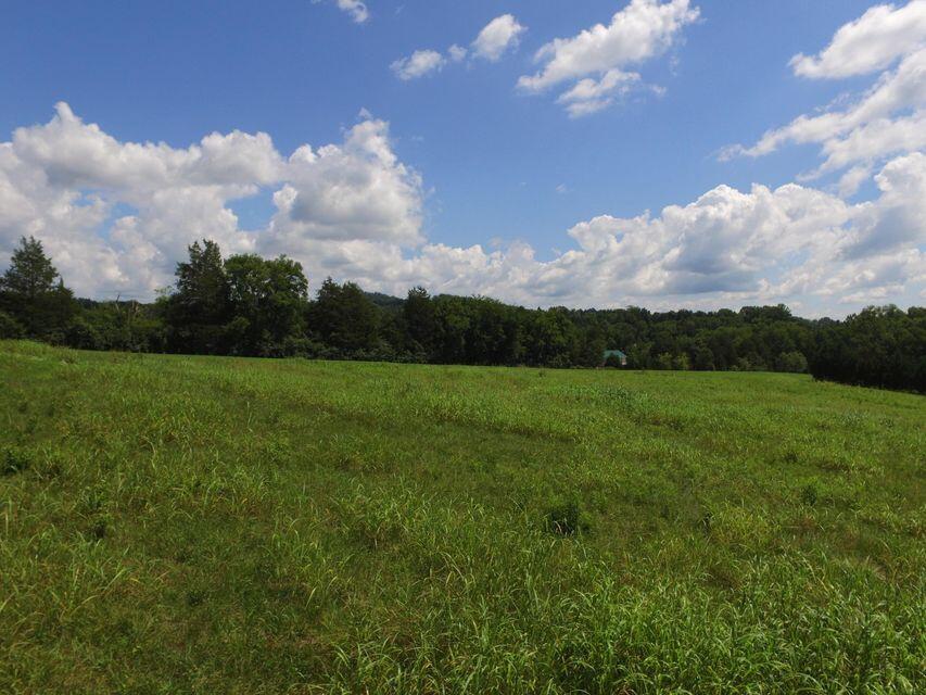 Marmore Road Friendsville, TN 37737 - Photo 5 of 15 #5