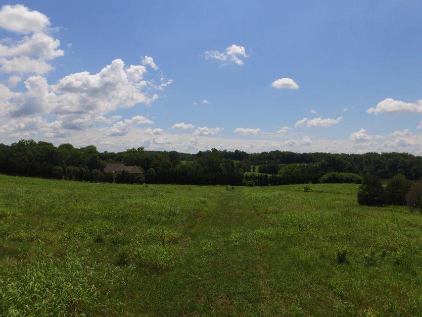 Marmore Road Friendsville, TN 37737 - Photo 6 of 15 #6