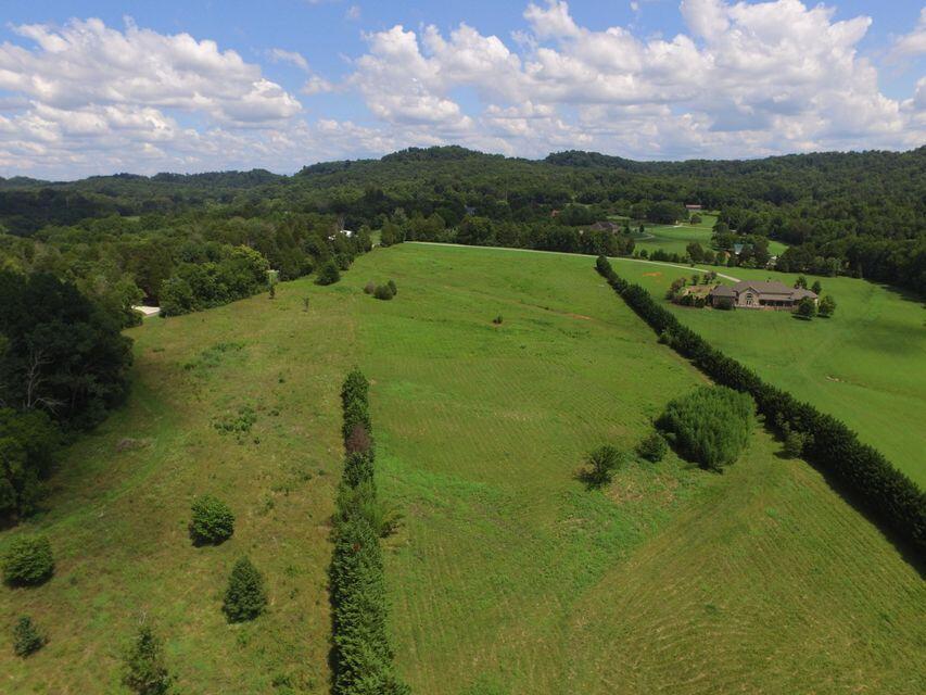 Marmore Road Friendsville, TN 37737 - Photo 7 of 15 #7