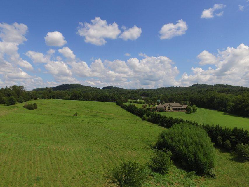 Marmore Road Friendsville, TN 37737 - Photo 8 of 15 #8
