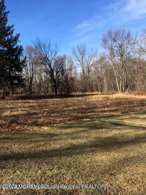 45 Iron Ore Road Manalapan, NJ 07726 - Photo 16 of 25 a view of a lake view