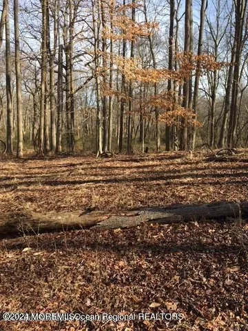 a backyard of a house with a yard
