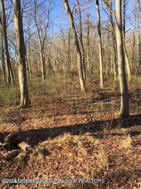45 Iron Ore Road Manalapan, NJ 07726 - Photo 19 of 25 a view of house with yard