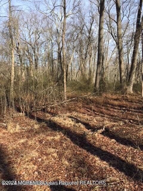 45 Iron Ore Road Manalapan, NJ 07726 - Photo 20 of 25 a view of a yard with trees