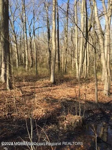 $998,000 | 45 Iron Ore Road, Manalapan, NJ 07726