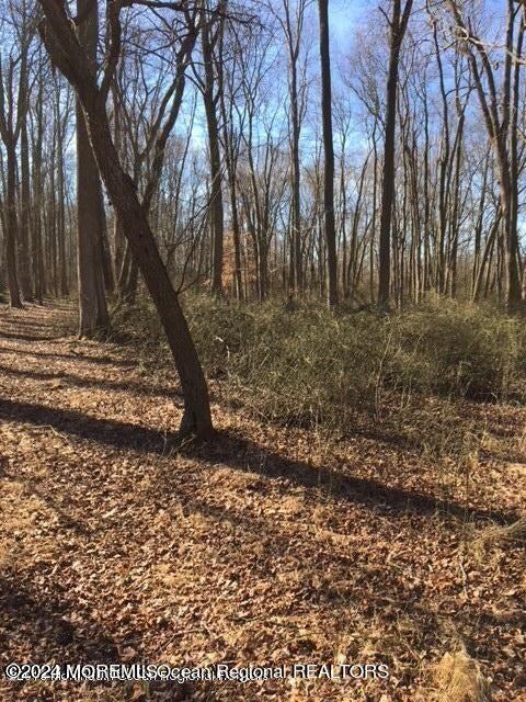 45 Iron Ore Road Manalapan, NJ 07726 - Photo 23 of 25 a view of a yard with trees
