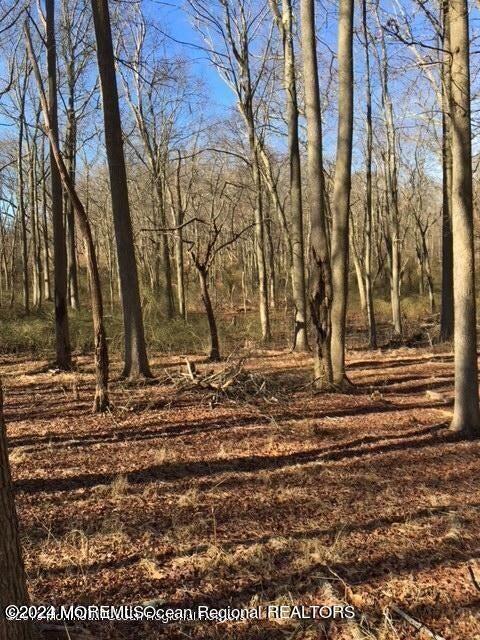 45 Iron Ore Road Manalapan, NJ 07726 - Photo 24 of 25 a view of a backyard of the house