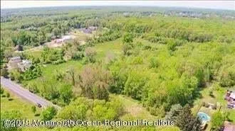 a view of a bunch of plants and trees