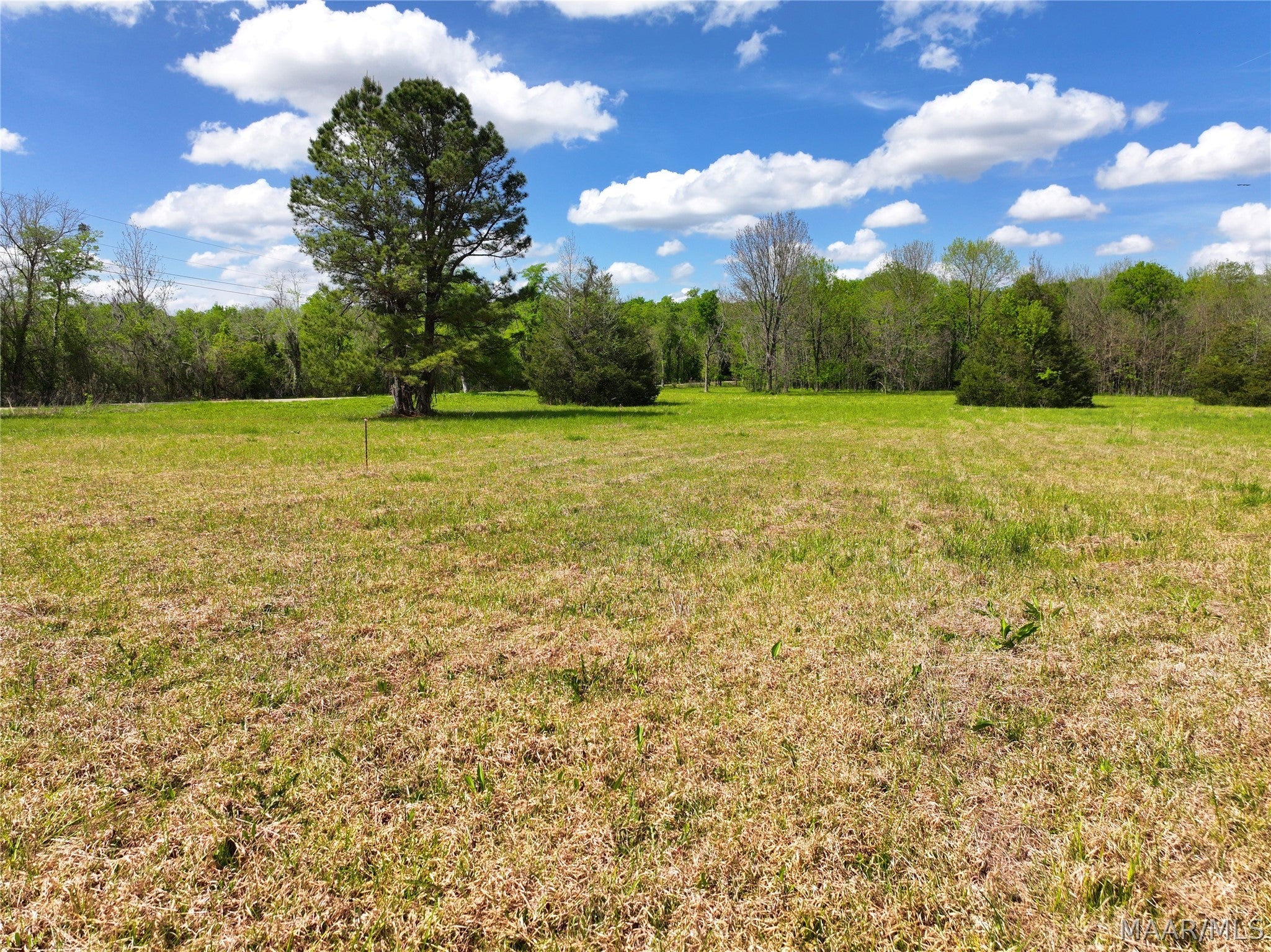 0 Judkins Road Pike Road, AL 36064 - Photo 12 of 21 Gallery Image 12