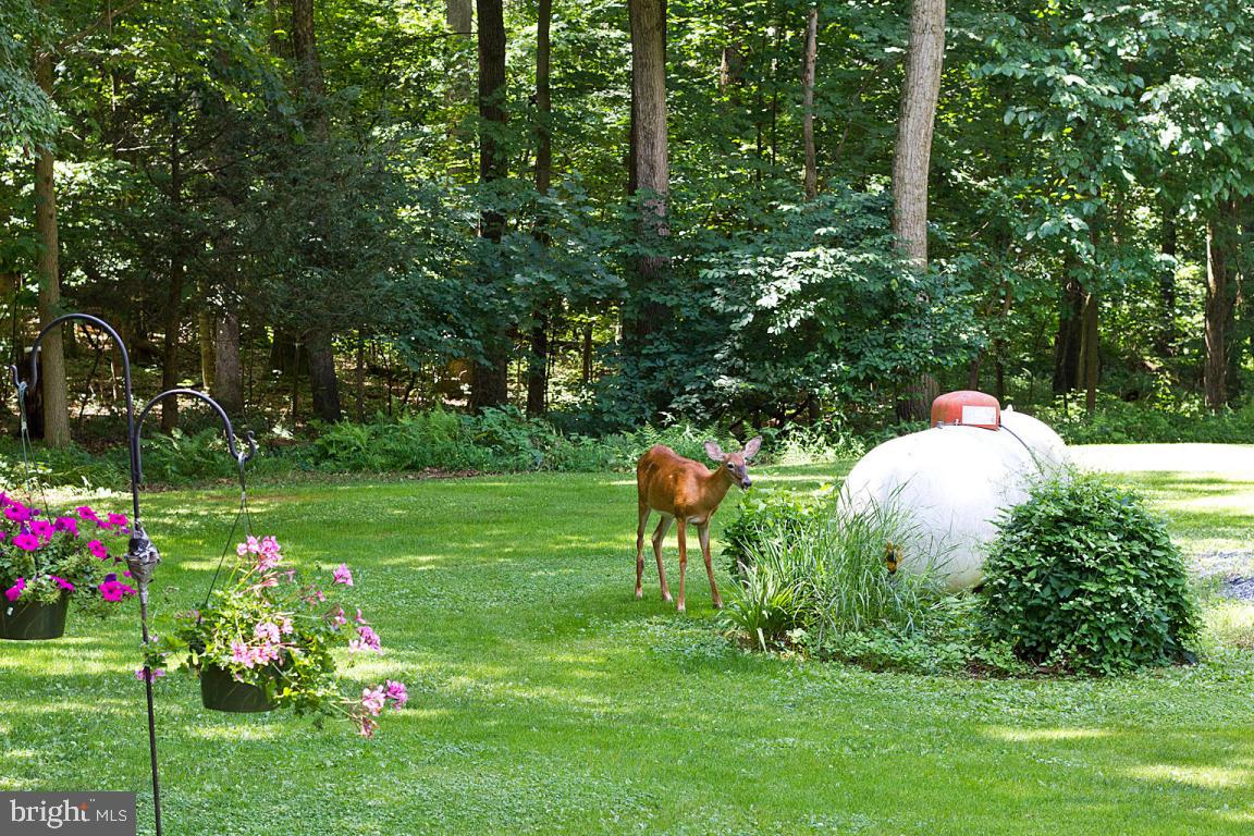 200 Acorn Lane Lititz, PA 17543 - Photo 44 of 55