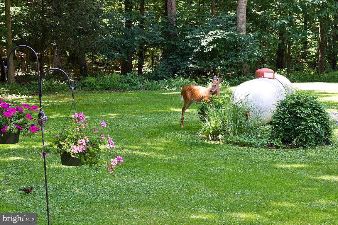 200 Acorn Lane Lititz, PA 17543 - Photo 45 of 55