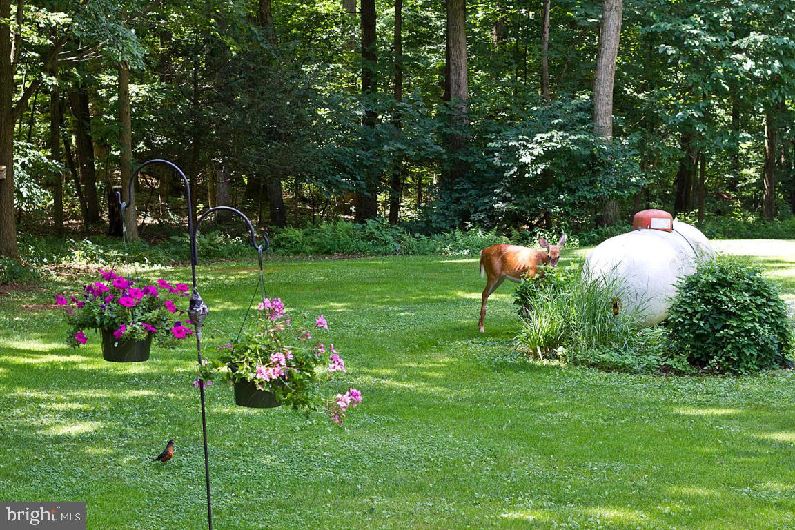 200 Acorn Lane Lititz, PA 17543 - Photo 46 of 55