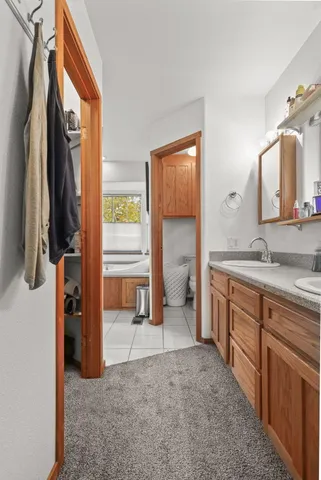 a view of a large trees with a big yard