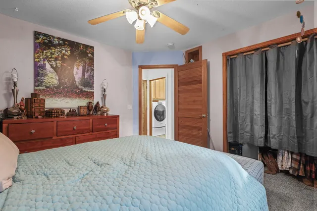 a view of a yard with plants and trees